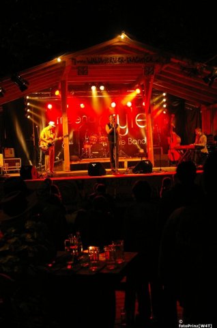 Austrian Blues Unit1